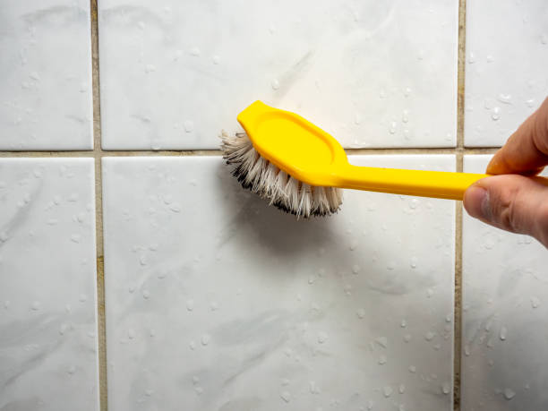 Best Emergency Mold Removal  in Trappe, MD