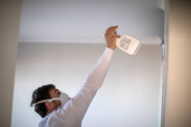 Best Mold Removal Near Me  in Trappe, MD