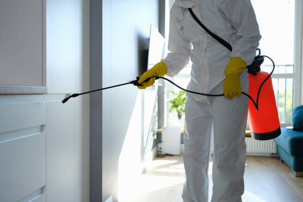 Best Certified Mold Removal  in Trappe, MD